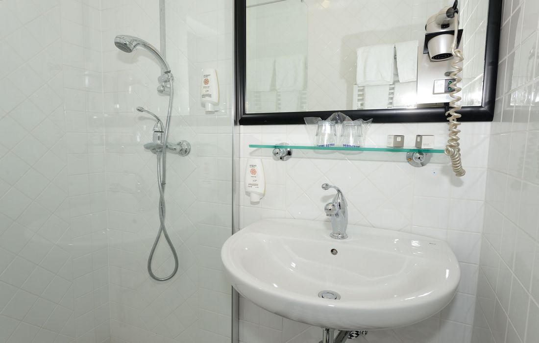 Bathroom in Villa Preseren Bled